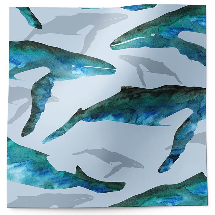 The Packaging Source | Wholesale Tissue Paper | Whale Watch Tissue