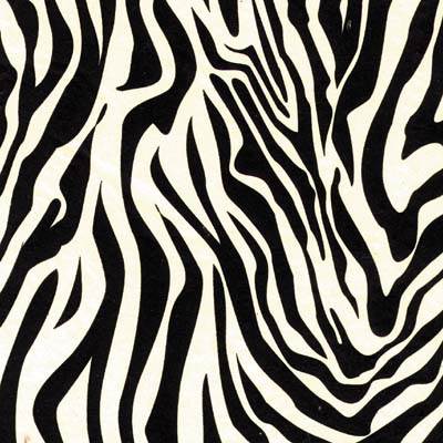 Zebra - Wholesale Tissue Paper Designs - Made in USA